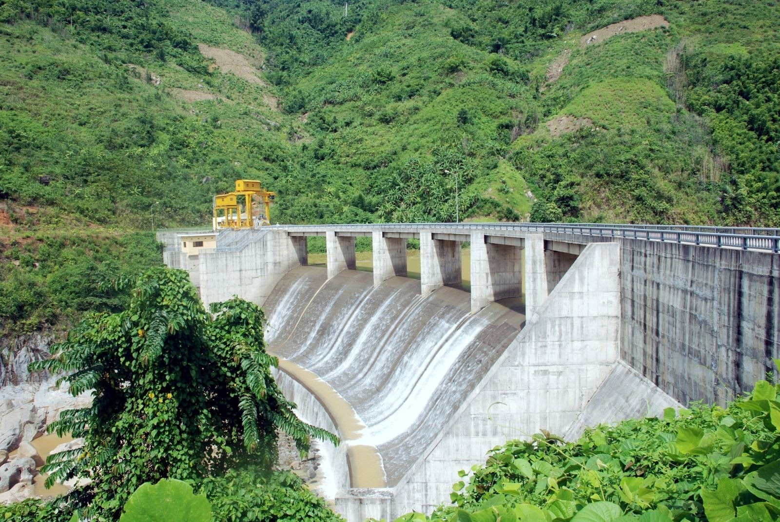 zahung