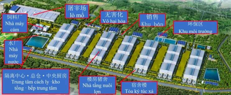 image(67)