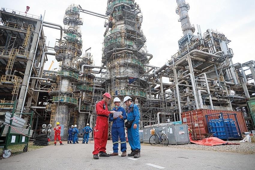 hat nhan cua don bay kinh te moi 20241223085232