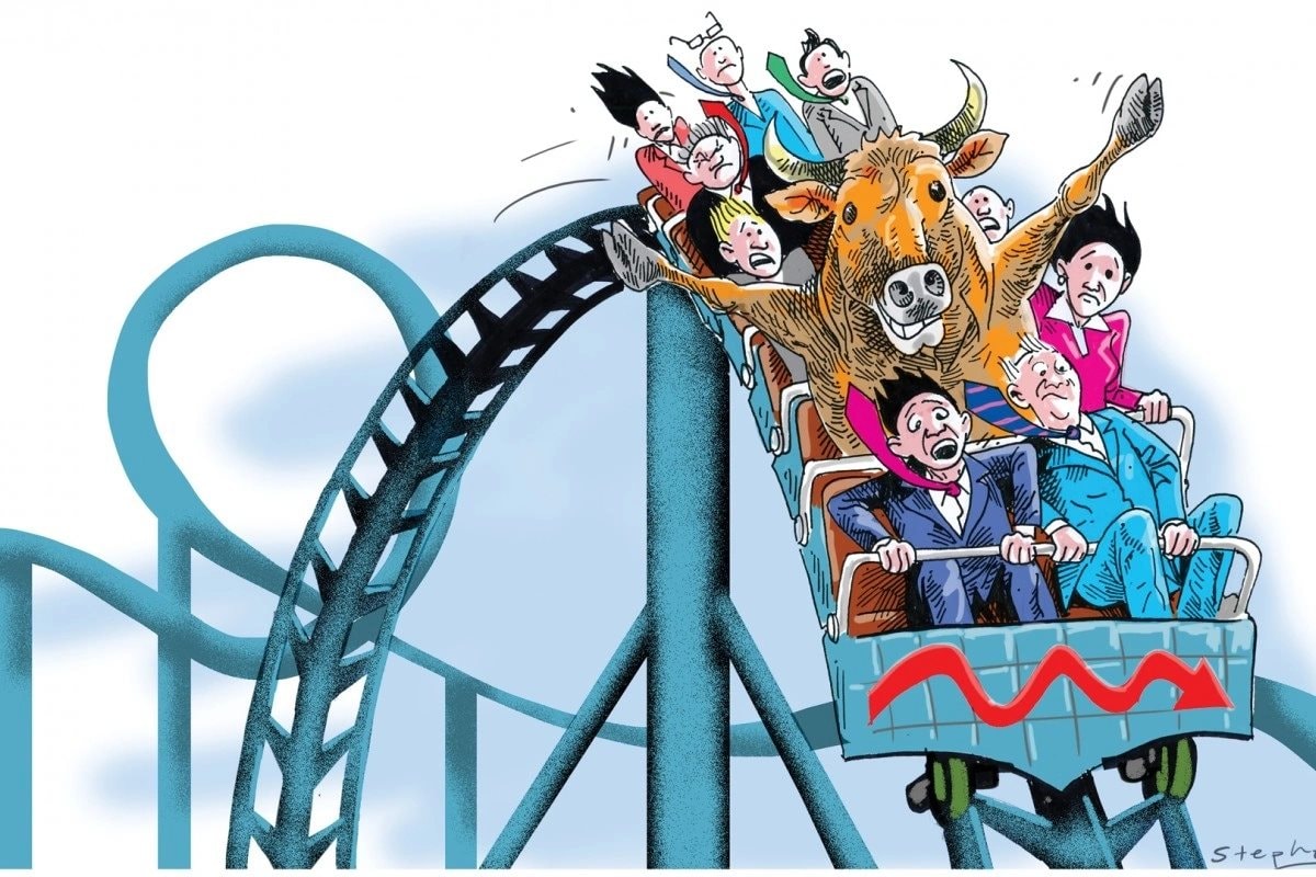 opedonline0907 1639021079 5593 1639021207 jpg