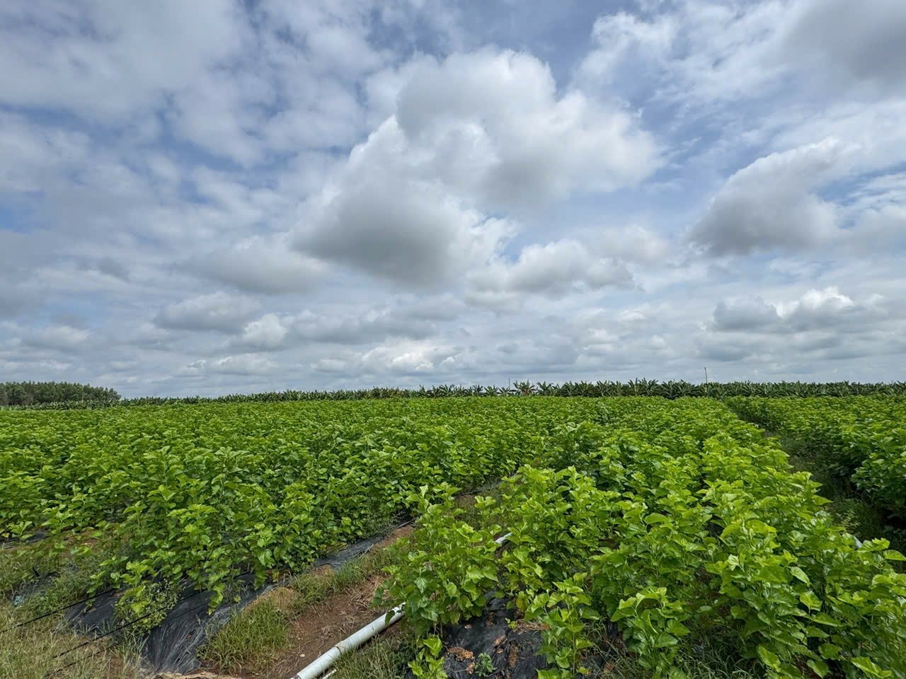 z7224038151917 a7eeaf08cc7a7de5c00b5f0337386896