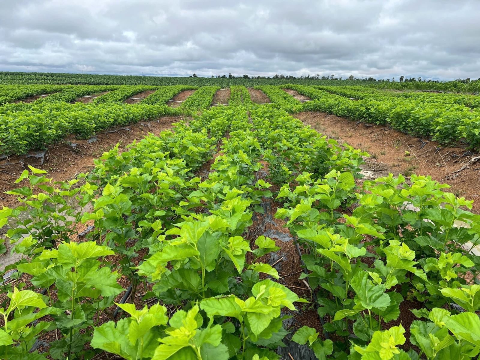 z7224039850623 cd12665deb14132823caeaf300cc1cb1