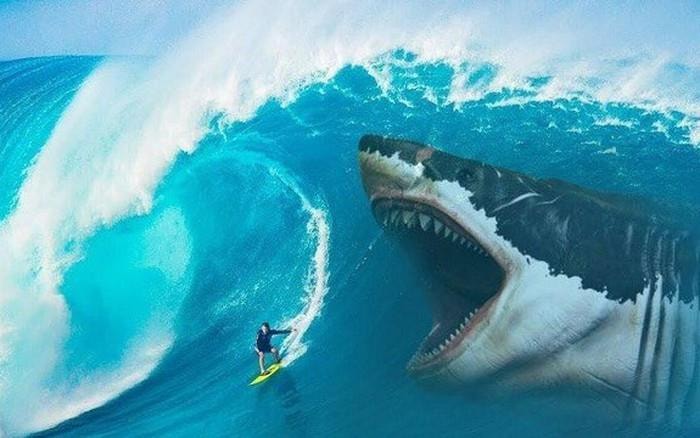 avatar1681655659272 168165565974786402992 1701545280690569107644 0 26 360 602 crop 17015452890271059111102