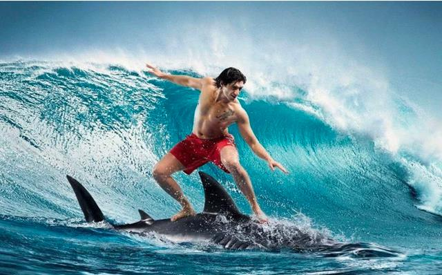 avatar1733640830786 17336408312761113954629