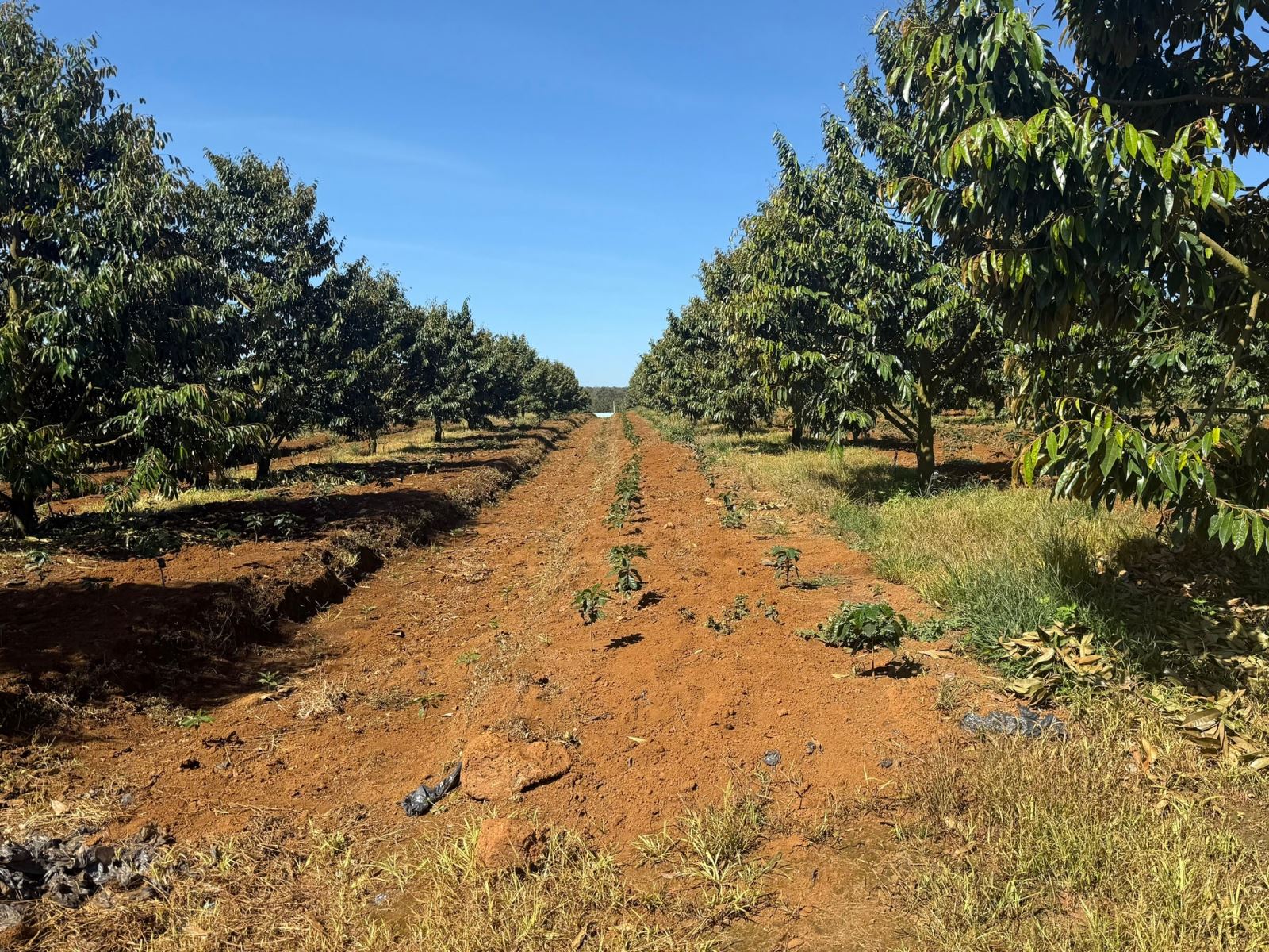 z7225176569356 fbf0fcc27af355b229a858b9d78d3df0