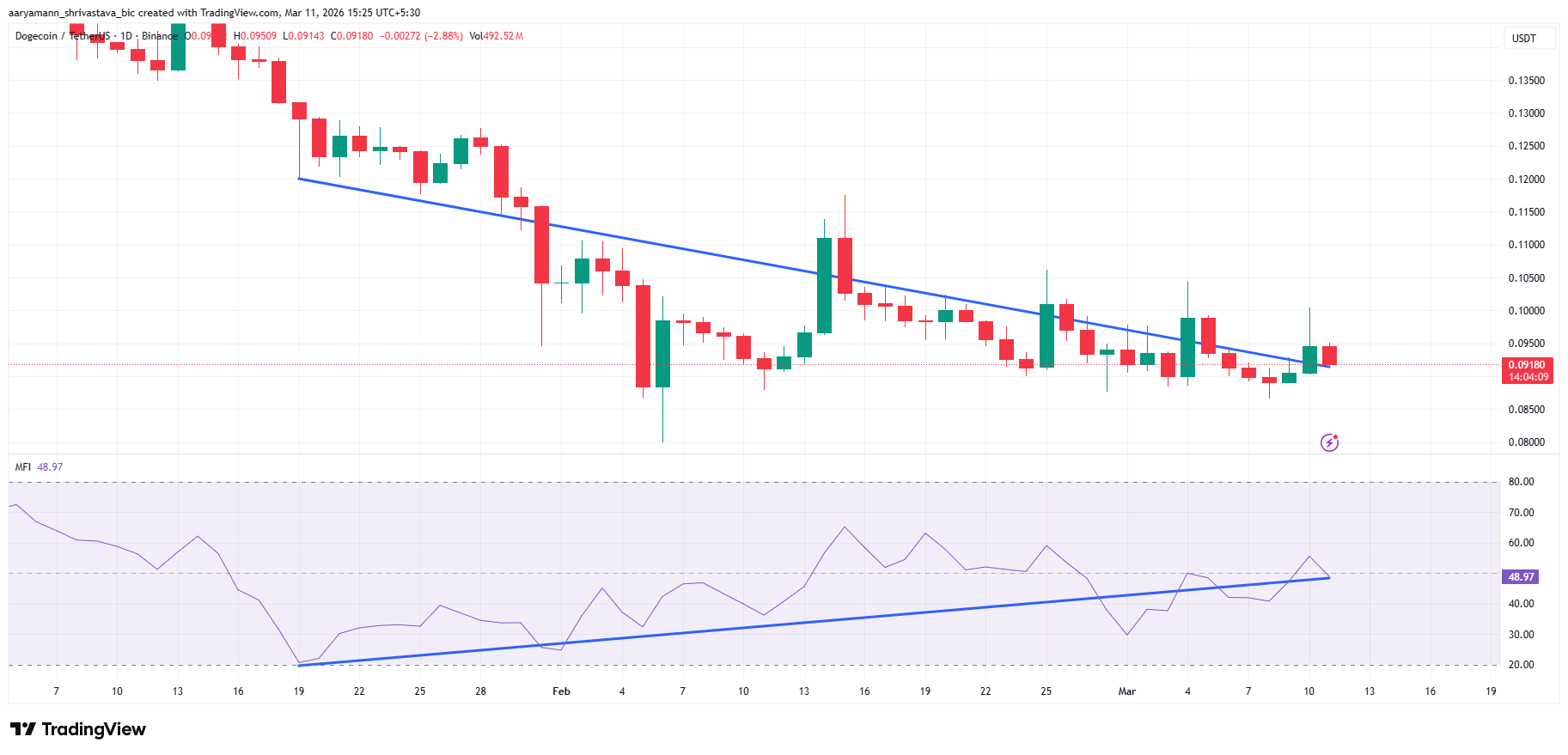 DOGE MFI