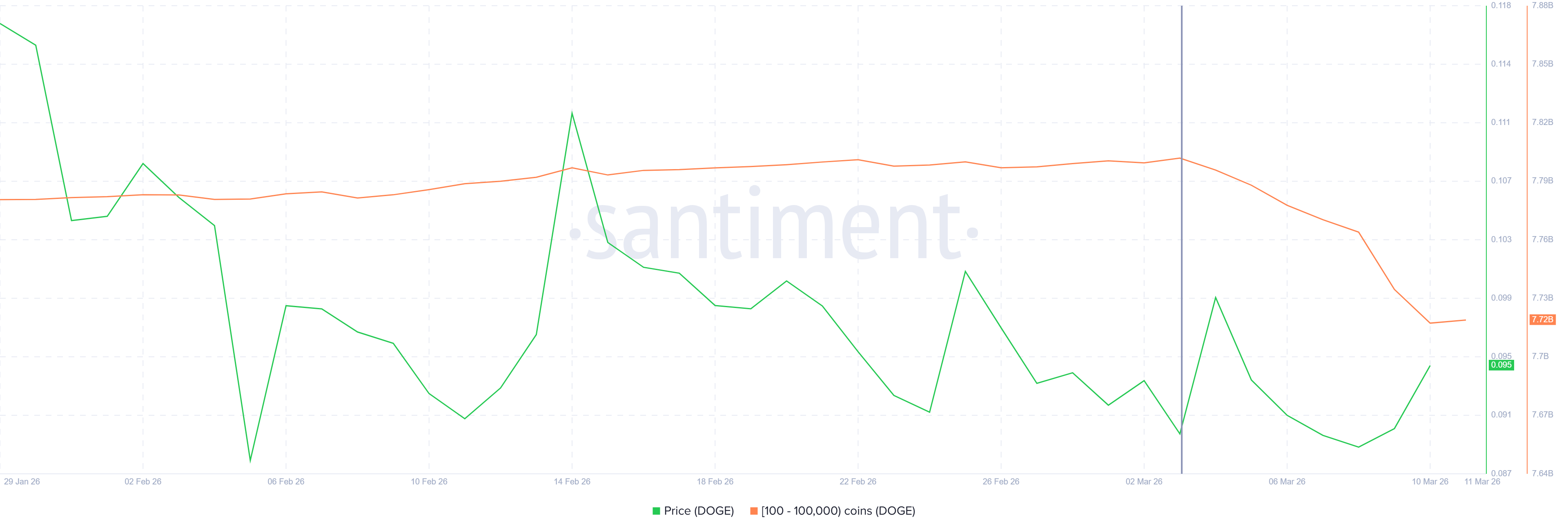 Các nhà đầu tư DOGE