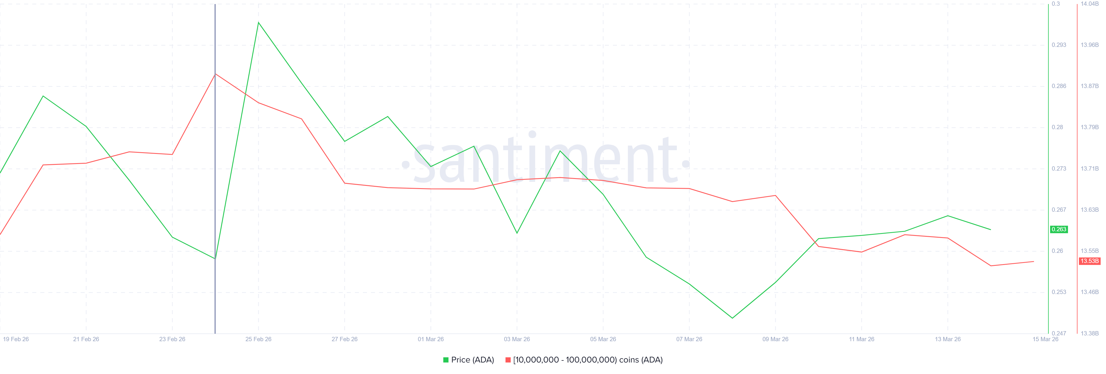 Nắm giữ Cardano của cá mập