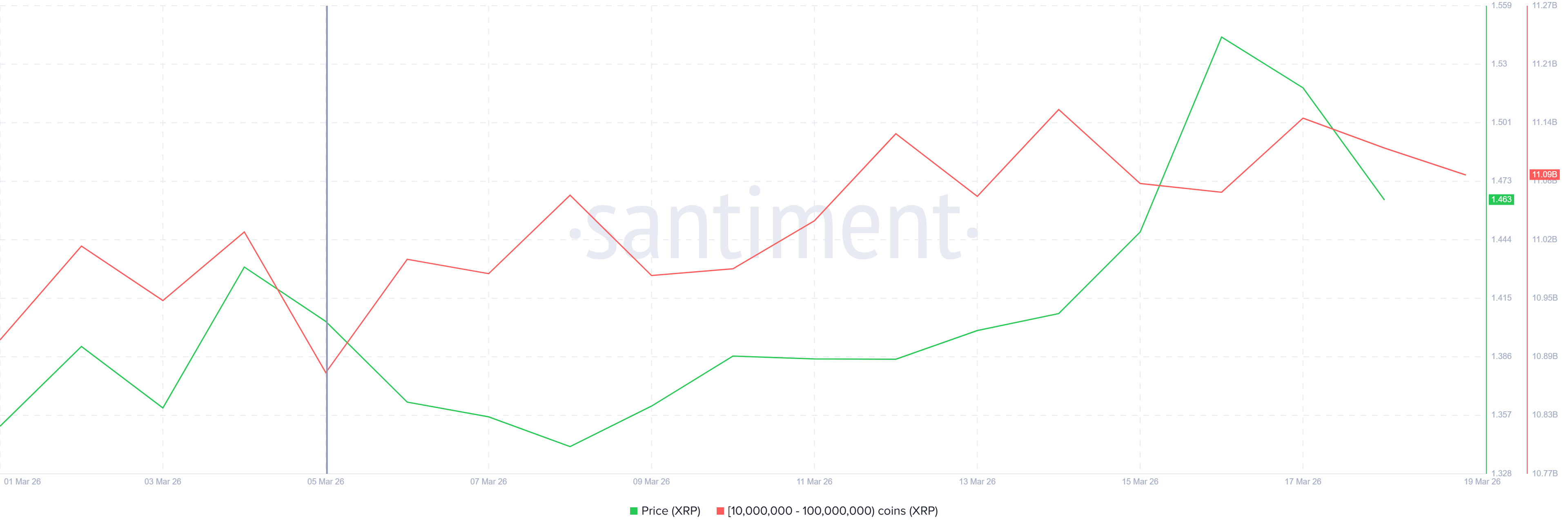 Nắm giữ XRP của cá voi