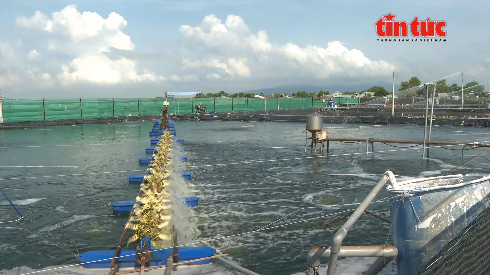 Gỡ điểm nghẽn chuỗi giá trị để thúc đẩy ngành thủy sản phát triển bền vững