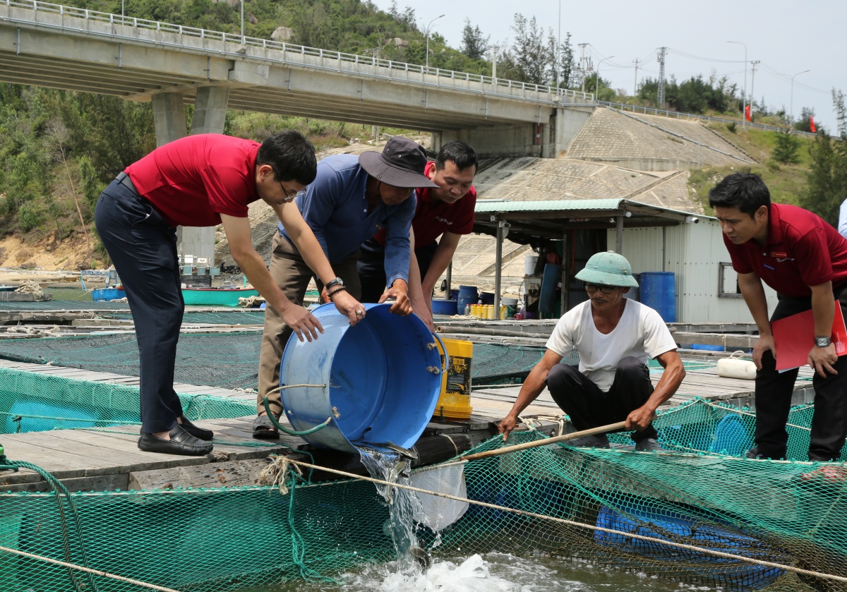 Agribank Bình Định: Điểm tựa tài chính vững vàng nơi đầu sóng