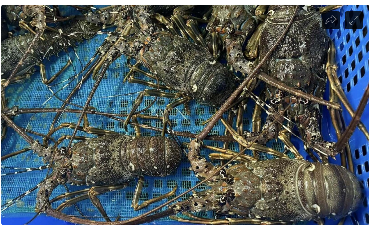 Bị “kẹp” giữa chi phí và đơn hàng, doanh nghiệp vẫn quyết giữ giá