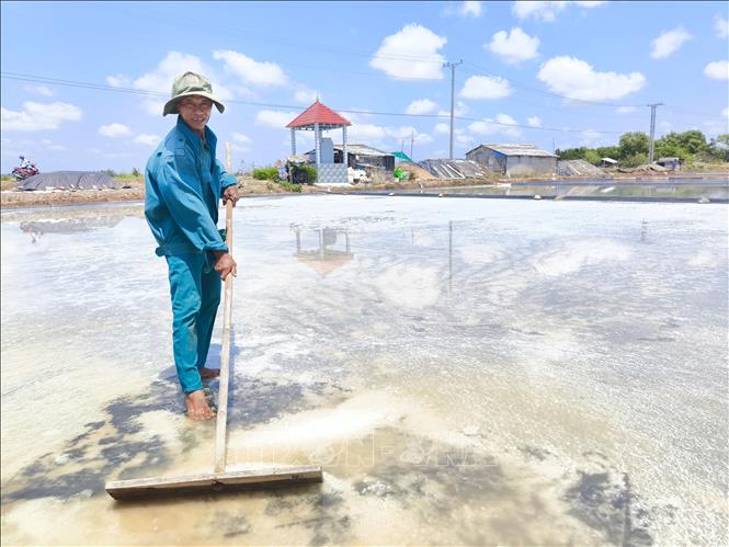 Diêm dân thu nhập tăng 30% nhờ ứng dụng công nghệ trải bạt