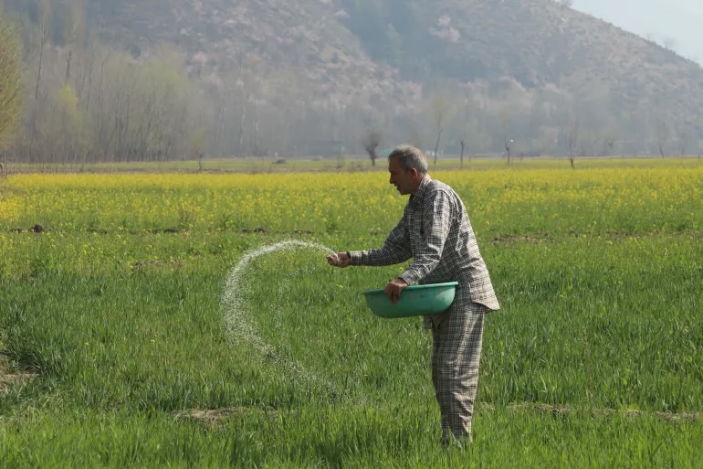 Nông dân Nam Á lao đao vì cú sốc phân bón do khủng hoảng Hormuz
