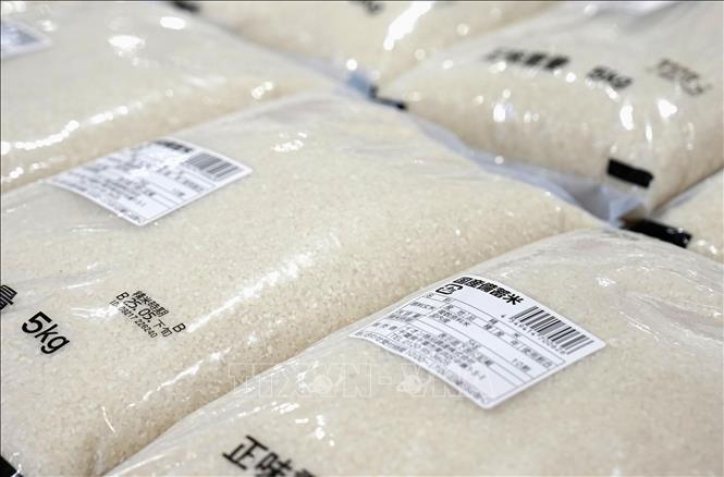 Chuyên gia dự báo giá gạo toàn cầu có thể tăng mạnh