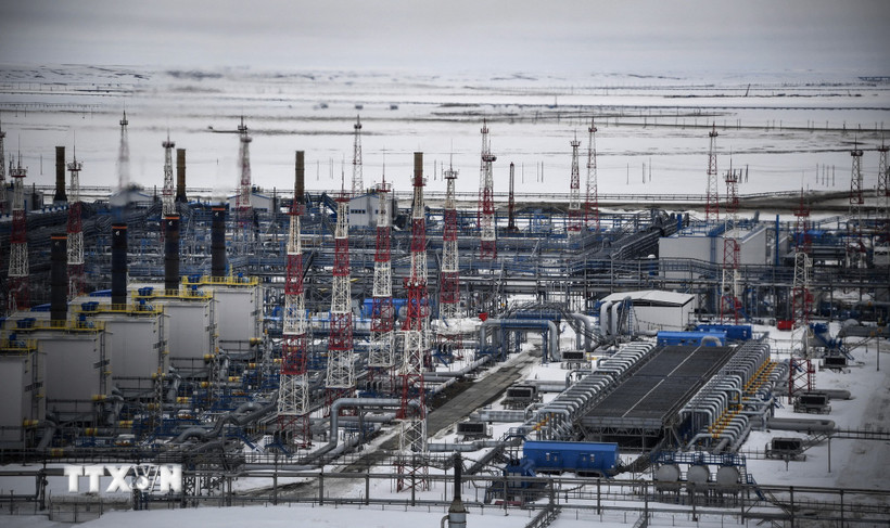 Nga gia hạn lệnh cấm xuất khẩu xăng đến hết tháng Bảy