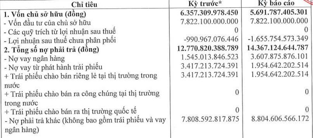 Một công ty con của Novaland lỗ lũy kế hơn 1.655 tỷ đồng