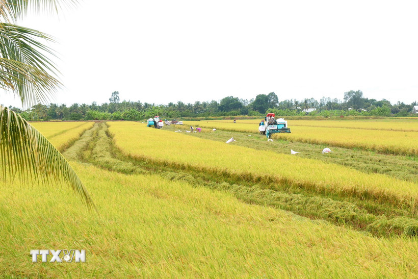 Ban hành Nghị quyết về thúc đẩy phát triển nông nghiệp, nông thôn bền vững