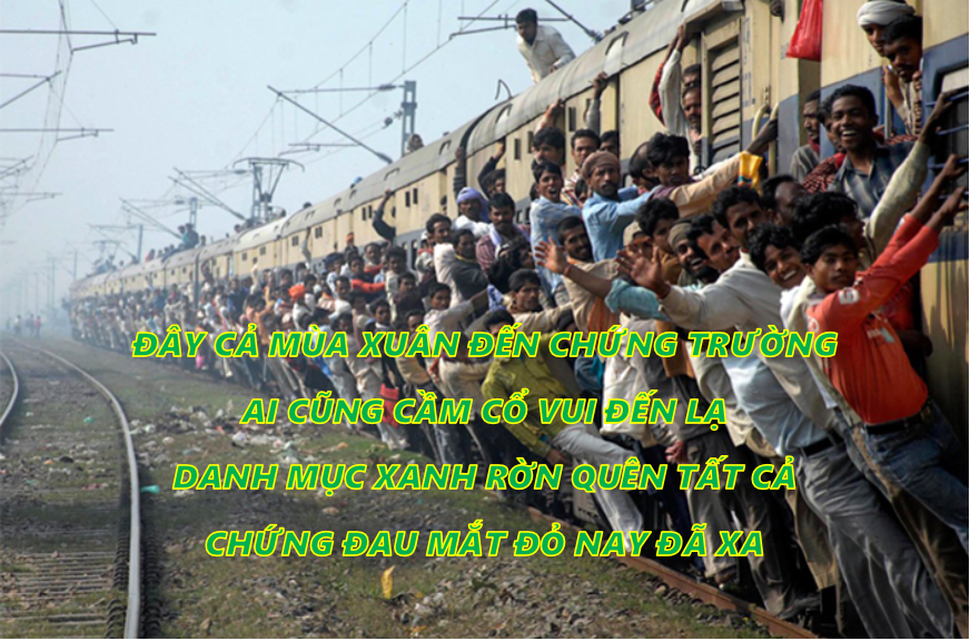 Sau 22 phiên điều chỉnh liên tiếp, chứng khoán nước Việt 