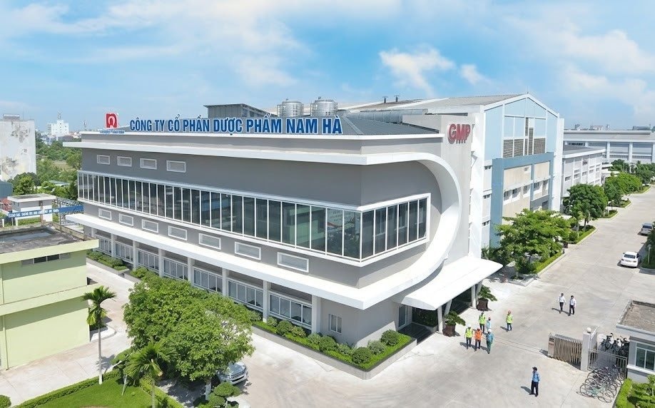 Lợi nhuận tăng mạnh, Dược Nam Hà chi tiền tỷ trả thù lao cho CEO