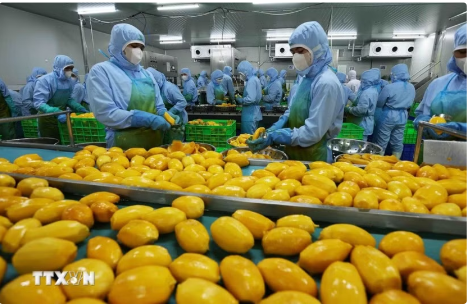 WB: Việt Nam là một điển hình về khả năng biến thách thức thành cơ hội