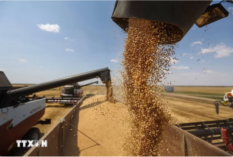 Saudi Arabia rót 1,7 tỷ USD để tăng cường an ninh lương thực