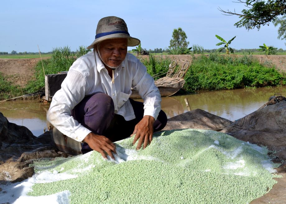 Giá phân bón ở mức cao, chuyên gia đưa ra giải pháp “4 đúng”