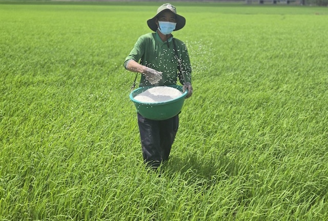 Ngành phân bón tìm cách ứng phó trước 