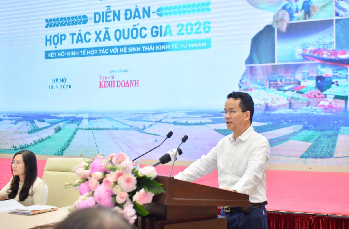 Hoàn thiện thể chế, thúc đẩy liên kế tư nhân và kinh tế tập thể