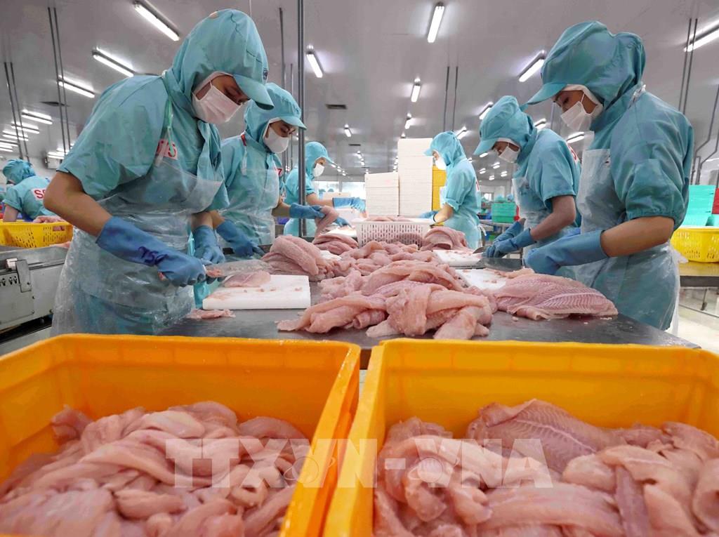 Kịch bản kinh tế 2026: Cơ hội và thách thức cho doanh nghiệp ĐBSCL