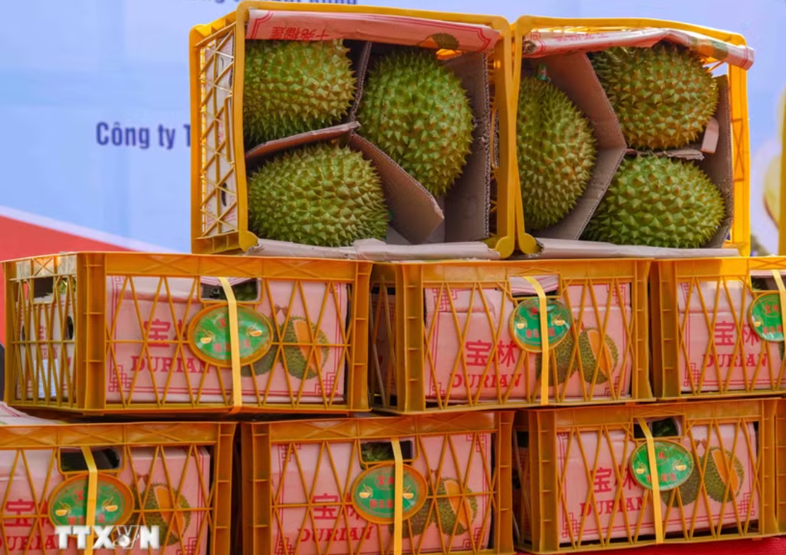 Quảng Tây (Trung Quốc) tăng tốc thông quan trái cây ASEAN