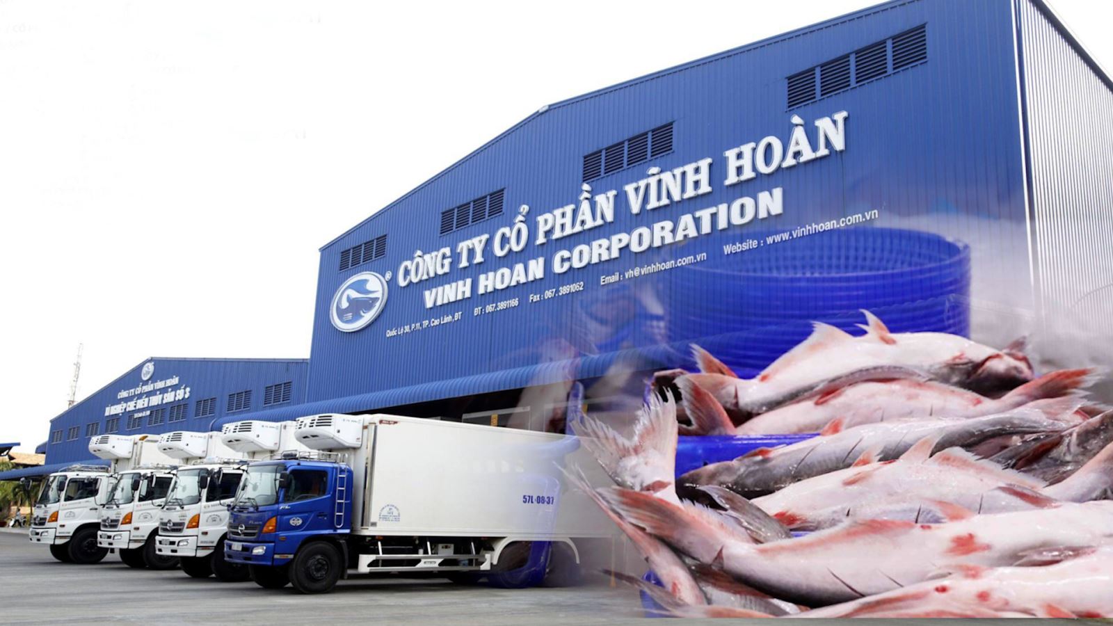 VHC: Vĩnh Hoàn muốn mở rộng sang lĩnh vực trồng trọt