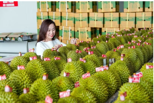 Thương mại Việt Nam - Trung Quốc tăng tốc kỷ lục