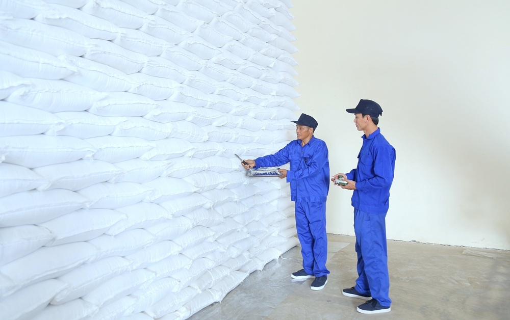 Lựa chọn nhà thầu mua 300.000 tấn gạo dự trữ quốc gia nhập kho năm 2026