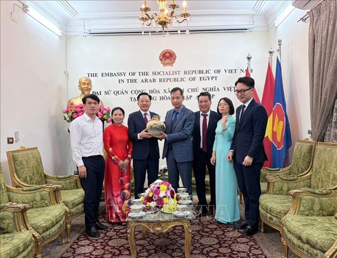 Việt Nam và Ai Cập tăng cường hợp tác trong lĩnh vực hóa chất và phân bón