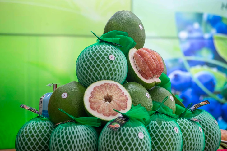 Bưởi và chanh chính thức được xuất khẩu chính ngạch sang Trung Quốc