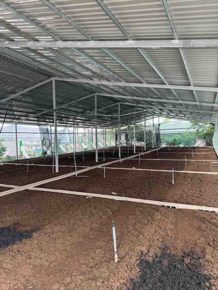 Nông nghiệp Việt trong kỷ nguyên xanh: Mở đường cho doanh nghiệp ‘hút’ vốn ngoại