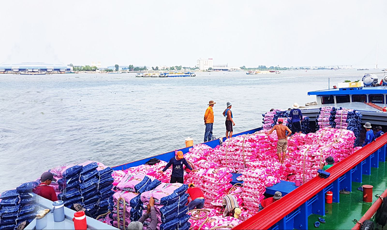 Gạo Việt đang 'bỏ rơi' thị trường thuế suất 0%?