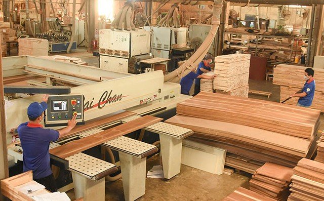 Gỗ Thuận An hoàn thành gần 98% mục tiêu lợi nhuận sau 9 tháng - Ảnh 1.