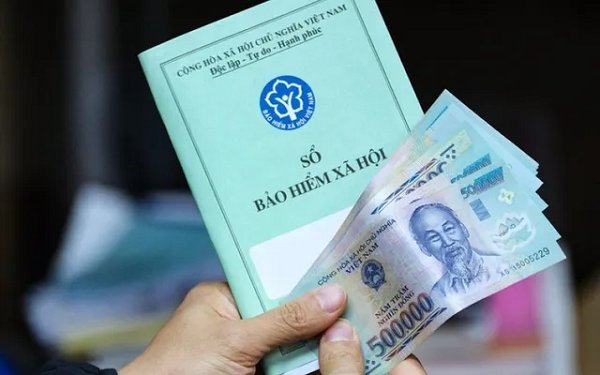 Dohacemex nợ bảo hiểm của hơn 600 người lao động - Ảnh 1.