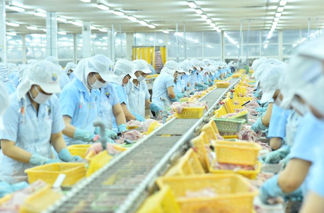 Nam Việt chốt trả cổ tức tiền mặt, gia đình ông Doãn Tới dự kiến nhận gần 180 tỷ đồng- Ảnh 1.