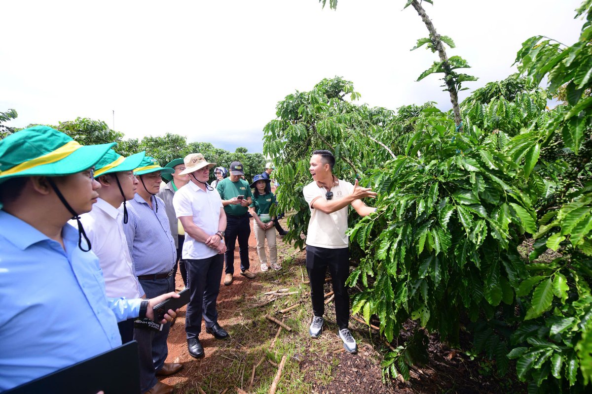Là một trong những quốc gia sản xuất, xuất khẩu Robusta hàng đầu thế giới, cà phê Việt Nam vẫn chủ yếu xuất khẩu nguyên liệu