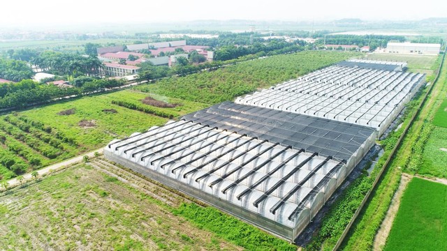 Giá lợn hơi giảm, Dabaco báo lãi ròng quý III/2026 giảm hơn 41% dù doanh thu tăng - Ảnh 1.
