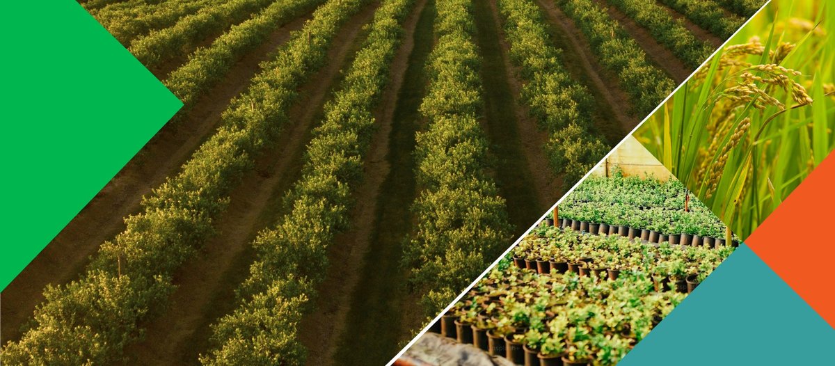 PVFCCo xác định vị thế mới trong chuỗi giá trị toàn cầu