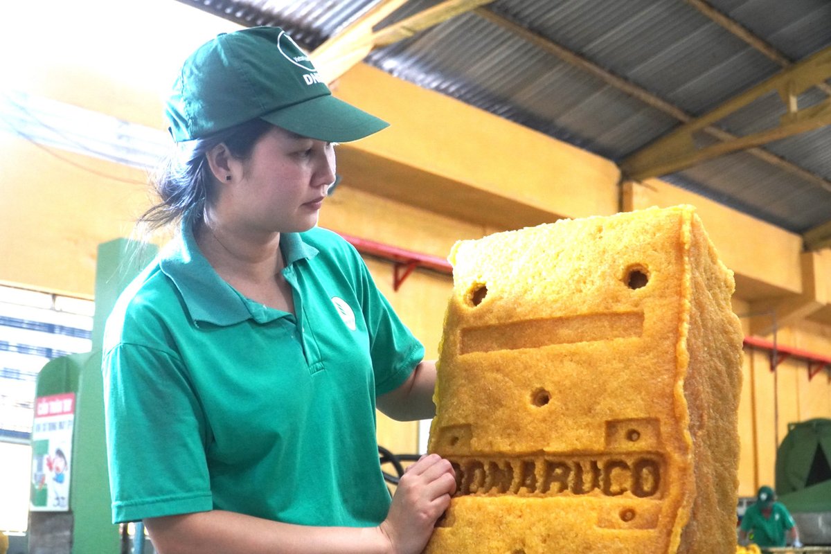 Sản phẩm cao su Việt Nam đáp ứng những yêu cầu ngày càng cao của thị trường quốc tế san-pham-cao-su-viet-nam-dat-tieu-chuan-quoc-te.jpg