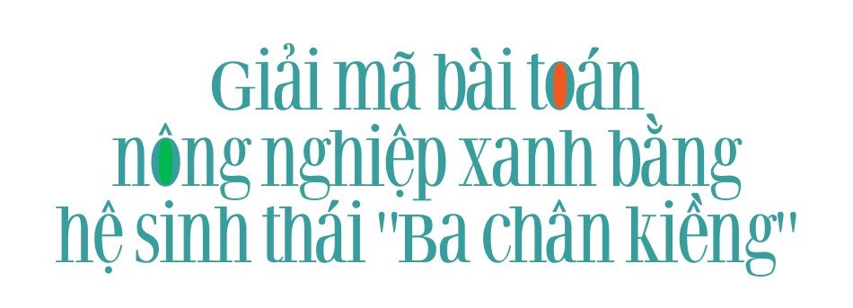 PVFCCo xác định vị thế mới trong chuỗi giá trị toàn cầu