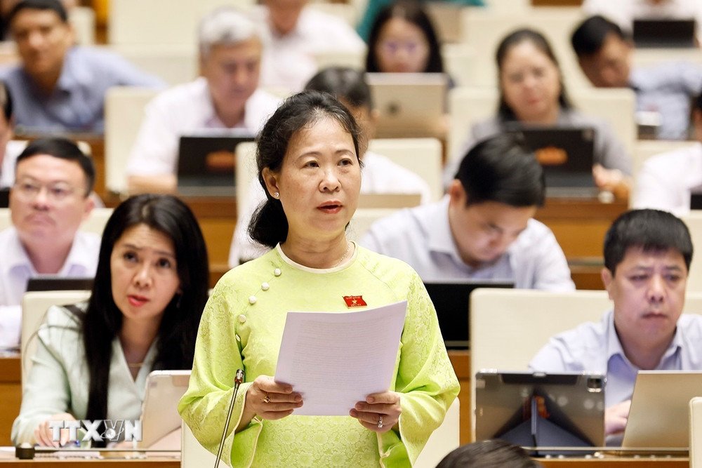 Đại biểu Tô Ái Vang, Đoàn ĐBQH thành phố Cần Thơ. (Ảnh: TTXVN) ttxvn_to-ai-vang.jpg