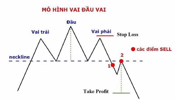 Mô hình vai đầu vai là gì?