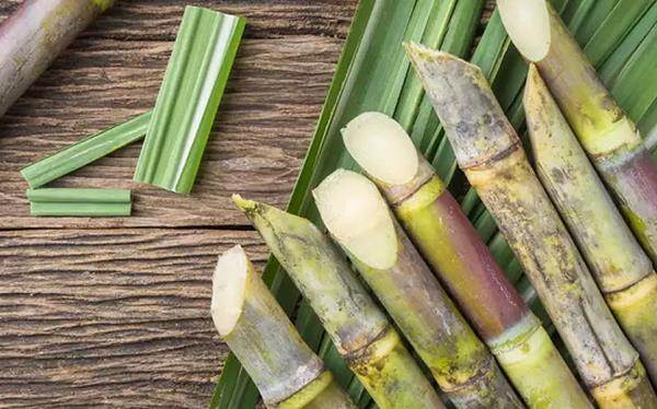 Giá đường thế giới lên cao nhất 11 năm, một cổ phiếu mía đườ