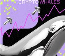 Phân tích on-chain 20/7: Cá voi tiền điện tử tích lũy gì trong tuần này?